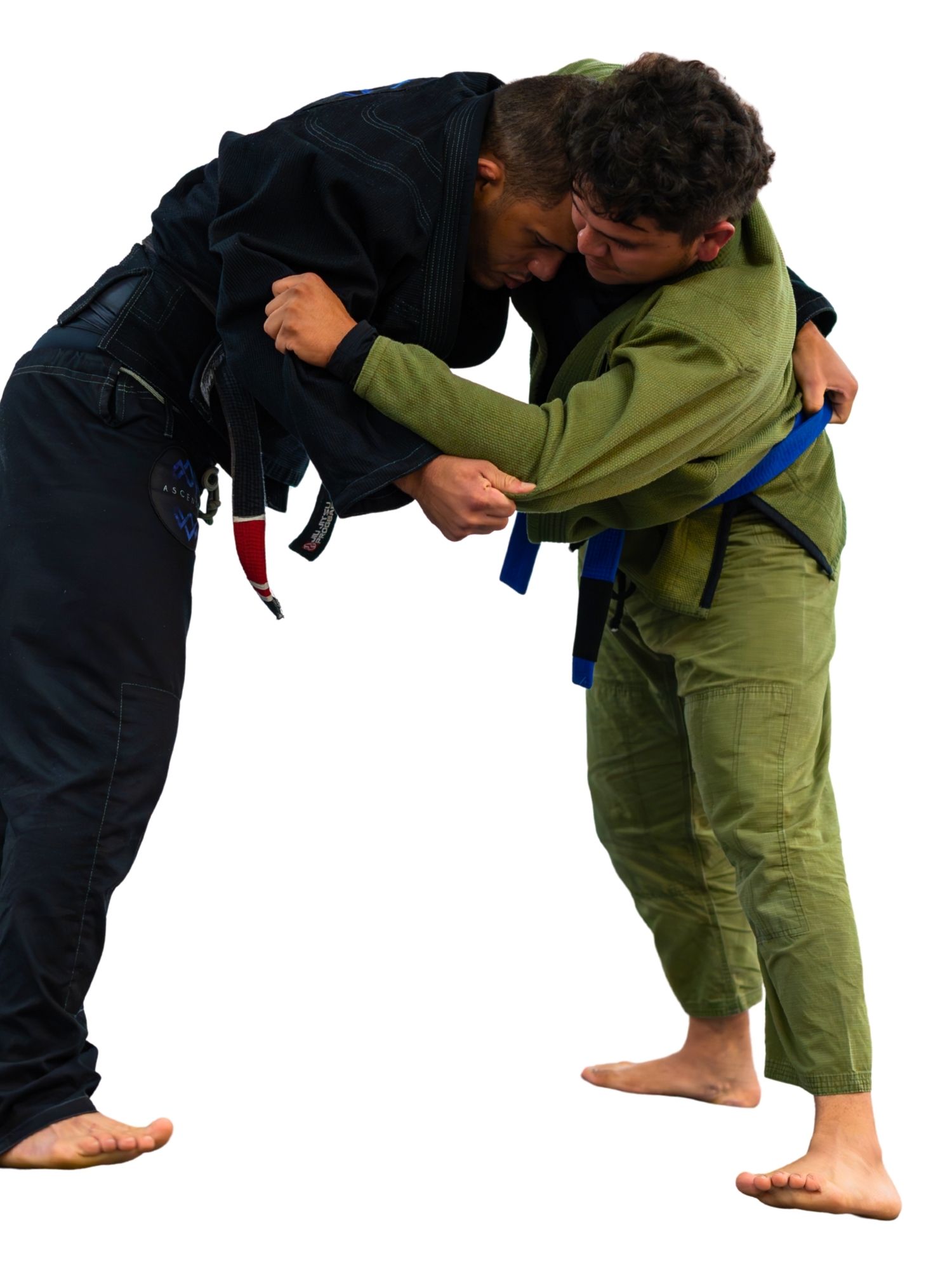 BioGinastica natural movement practice