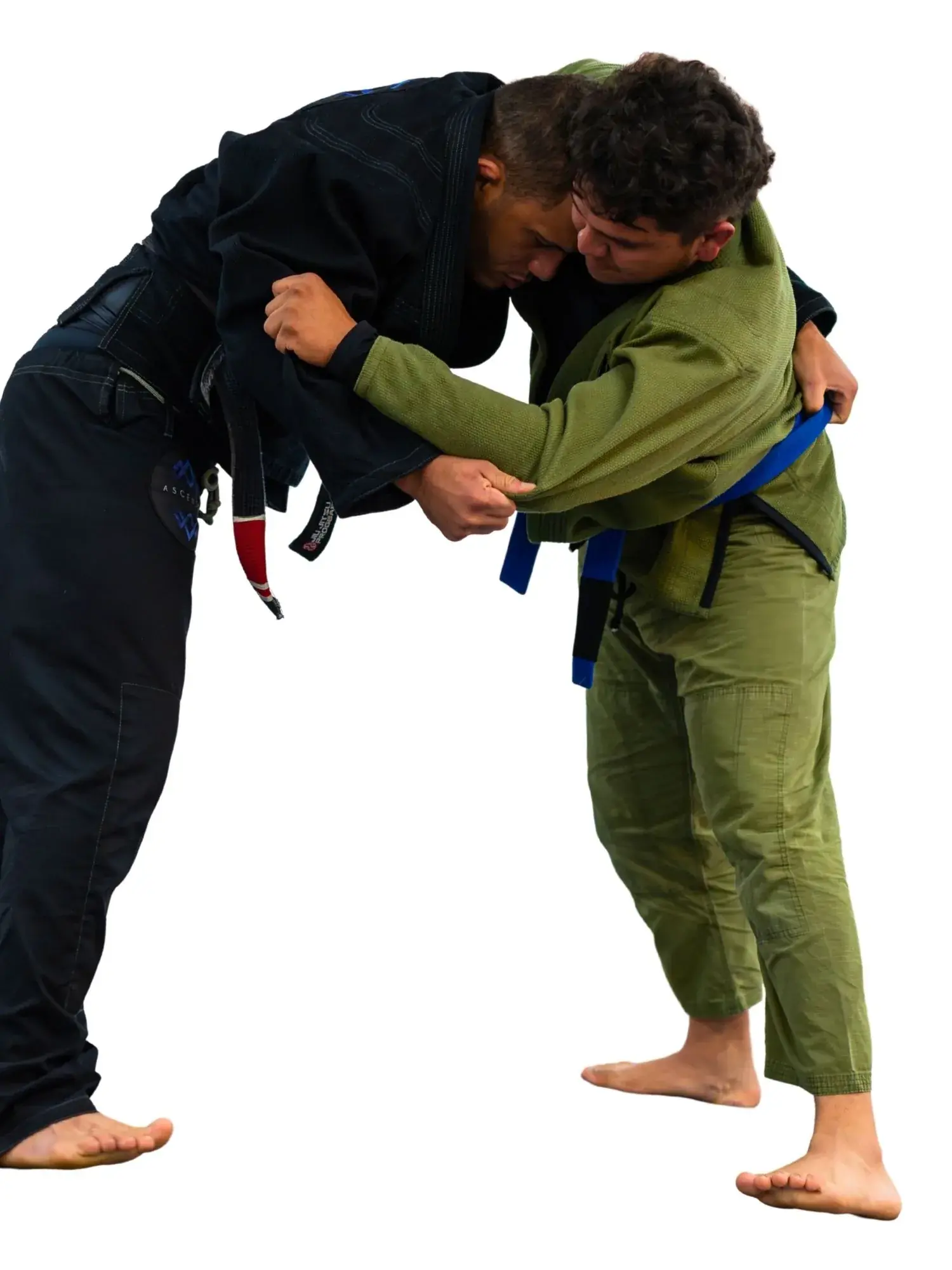 BioGinastica natural movement practice
